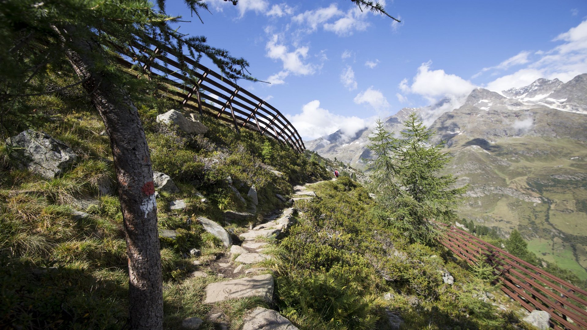 Escursioni nel Parco naturale Gruppo di Tessa Escursioni nel Parco naturale Gruppo di Tessa