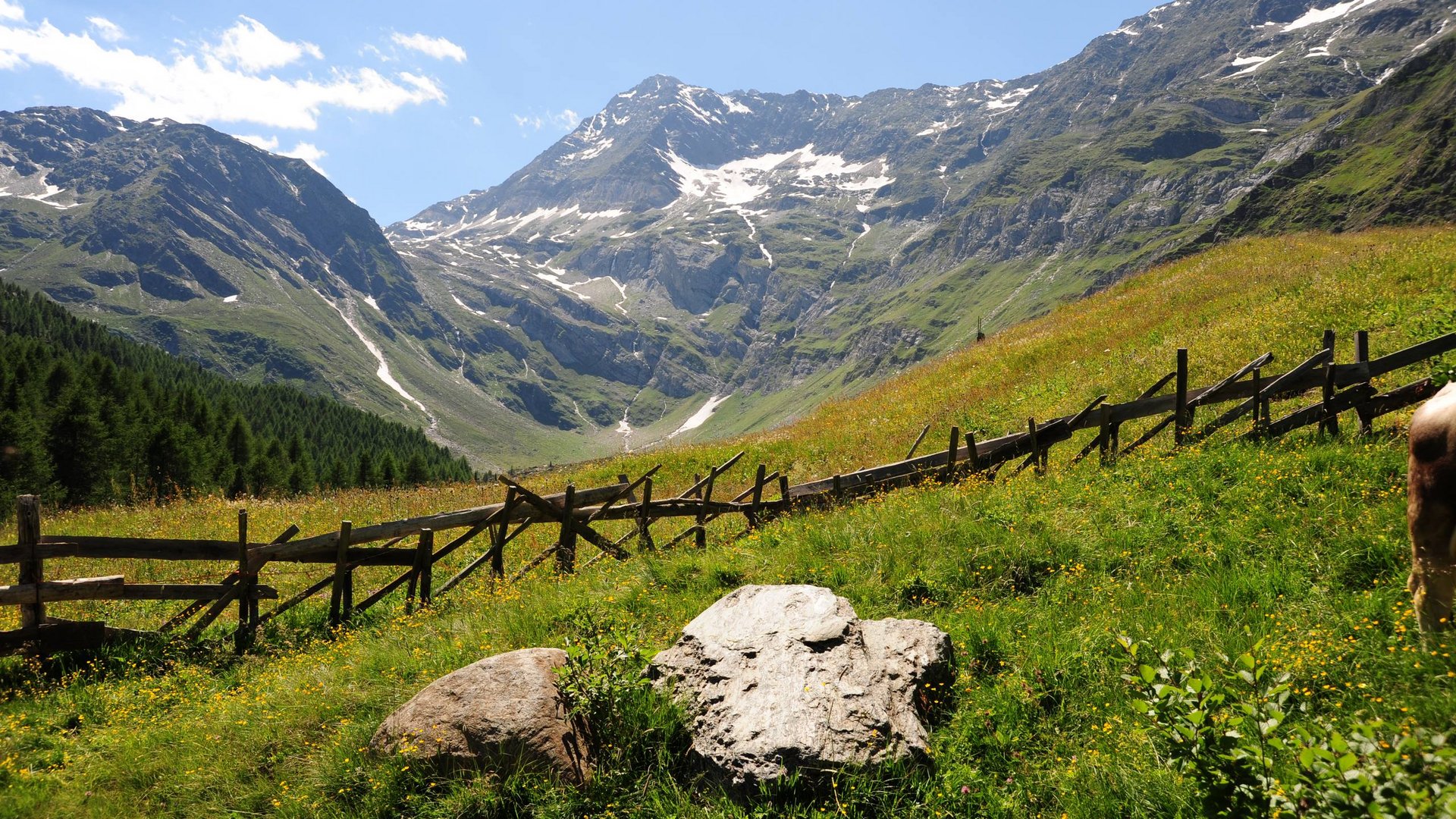 Ein Sommer in Pfelders