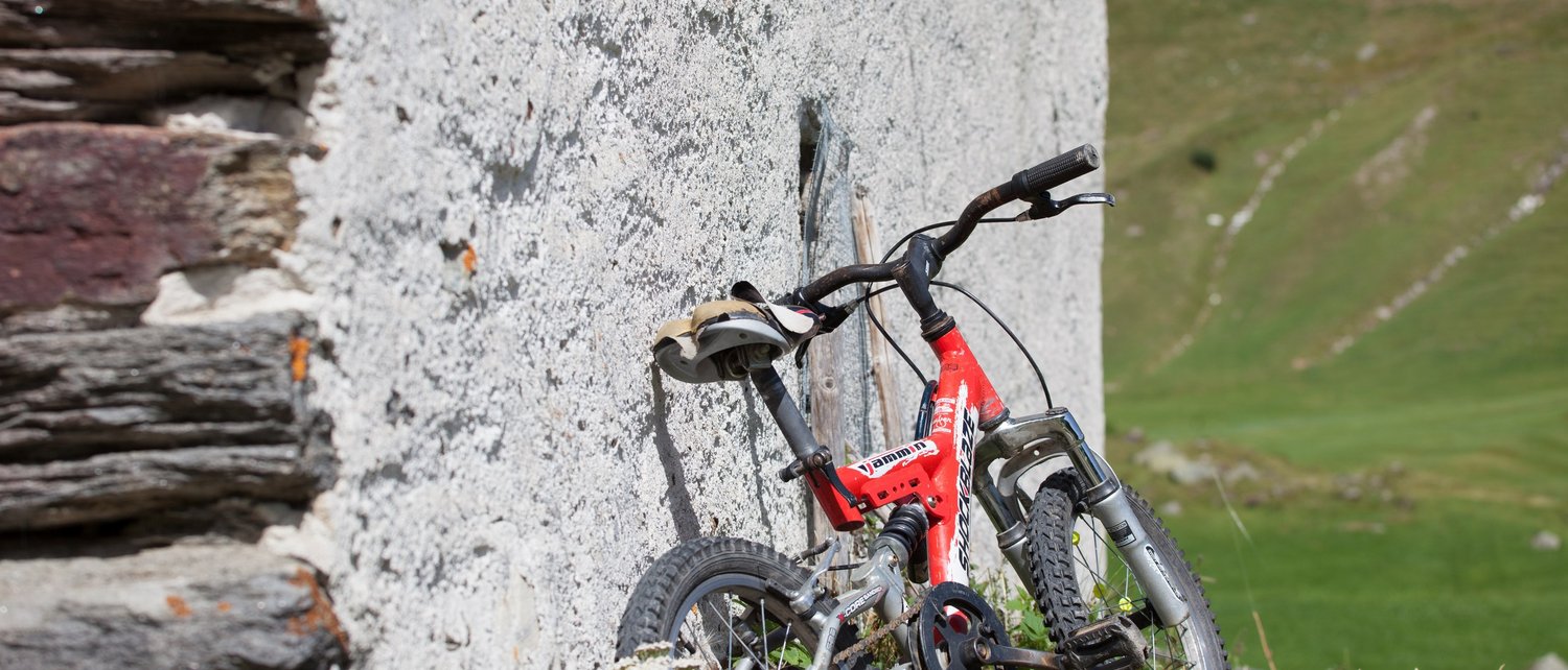 Ein Sommer in Pfelders Ein Sommer in Pfelders