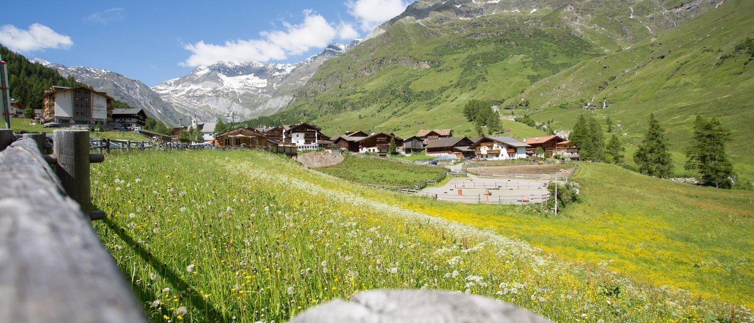 Ein Sommer in Pfelders Ein Sommer in Pfelders