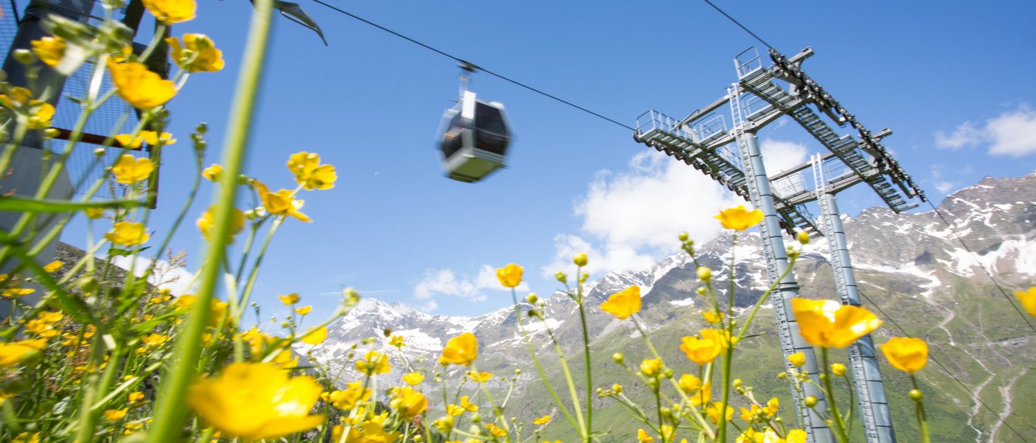 Ein Sommer in Pfelders Ein Sommer in Pfelders