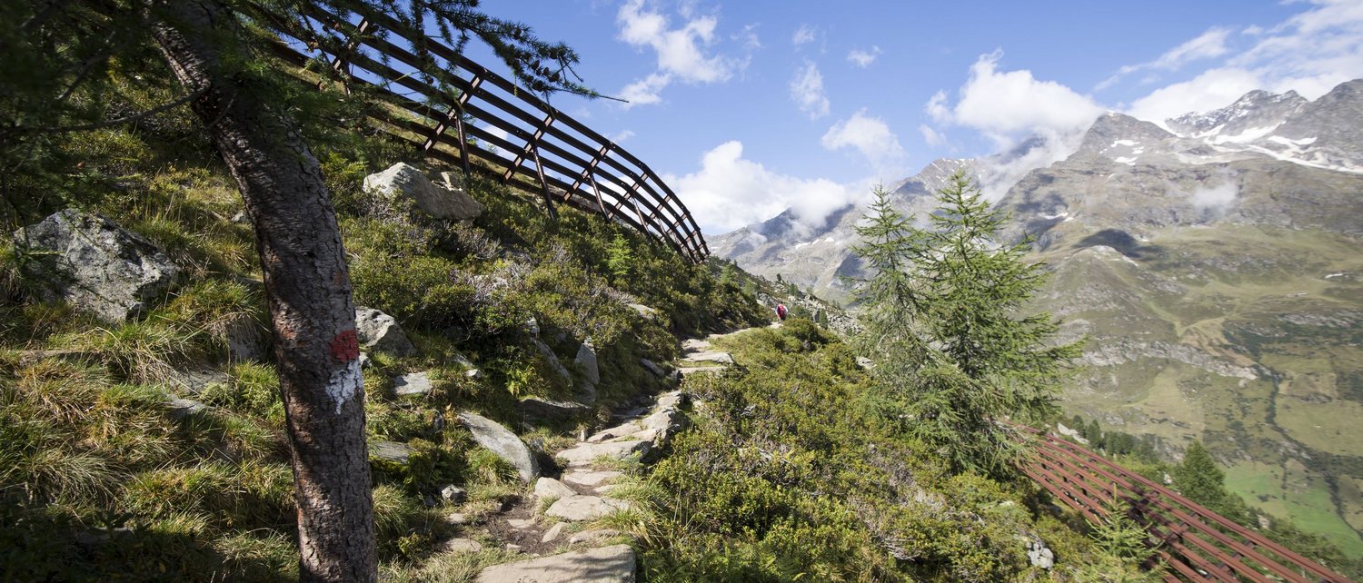 Ein Sommer in Pfelders Ein Sommer in Pfelders