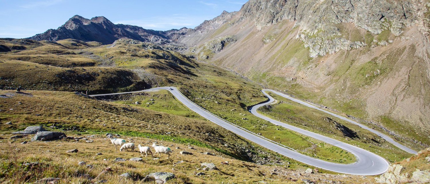 Urlaub in Pfelders Urlaub in Pfelders